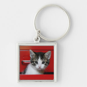 Chaveiro Espreitar do gatinho