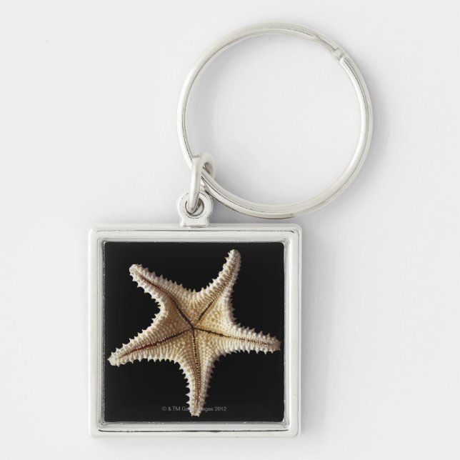 Chaveiro Esqueleto da estrela do mar, fim-acima 2 (Frente)