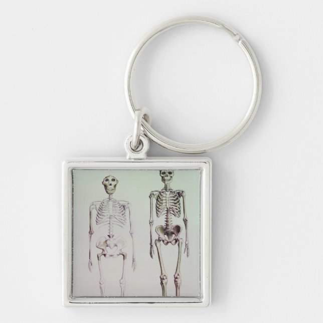 Chaveiro Esqueletos de Australopithecus Boisei (Frente)