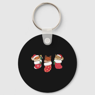 Chaveiro Esquilo Bonito Na Meia De Natal