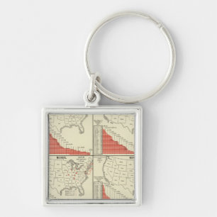 Chaveiro Estatísticas para escolas especiais