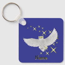Estrela Coruja Personalizada Fofa Fundo Azul