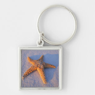 Chaveiro Estrela do mar na areia branca