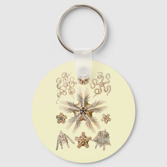 Chaveiro Estrelas britânicas (Frente)