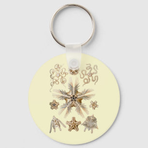Chaveiro Estrelas frágeis