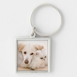 Chaveiro Estúdio disparado do gato e do cão