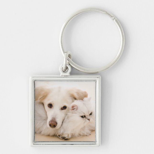 Chaveiro Estúdio disparado do gato e do cão (Frente)