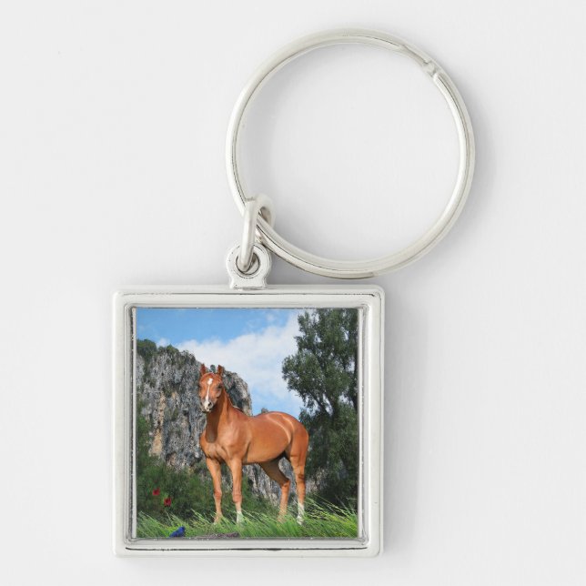 Chaveiro Eu amo Cavalos (Frente)