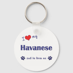 Chaveiro Eu amo meu Havanese (o cão masculino)