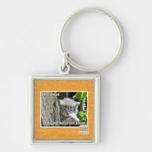 Chaveiro Eu tenho um louco