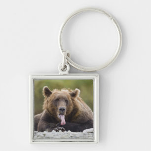 Chaveiro EUA, Alasca, Parque Nacional Katmai, Kukak Bay,