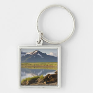 Chaveiro EUA, Alasca, Parque Nacional Katmai, Ursos Pardo