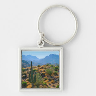 Chaveiro EUA, Arizona. Desert View
