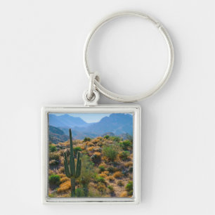 Chaveiro EUA, Arizona. Desert View