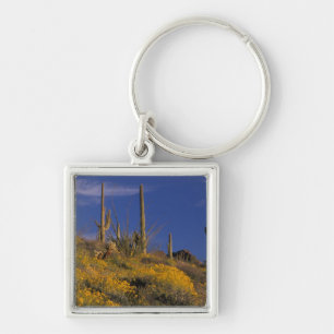 Chaveiro EUA, Arizona, Organ Pipe Cactus National 2