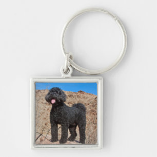 Chaveiro EUA, Califórnia. Labradoodle em Pé