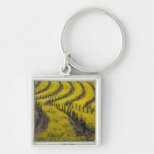 Chaveiro EUA, Califórnia, Napa Valley, Los Carneros Ava.