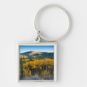 Chaveiro EUA, Colorado. Amarelos Brilhantes Aspens nos Rock
