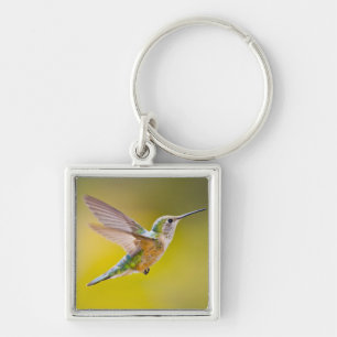 Chaveiro EUA, Colorado, Summit County, Heeney. Vista latera