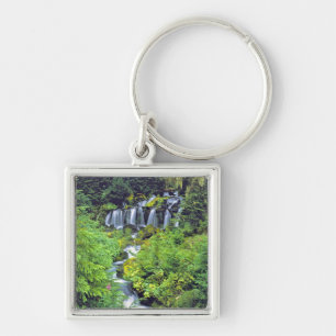 Chaveiro EUA, Estado de Washington, Mt Adams Wilderness. Tw