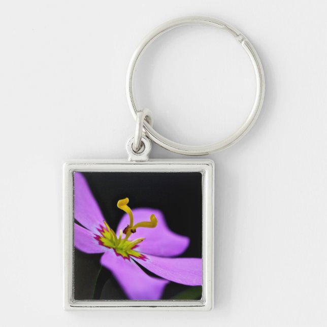 Chaveiro EUA, Florida, Big Cypress National Preserve (Frente)