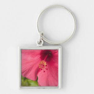 Chaveiro EUA, Havaí, Kauai, Hibisco