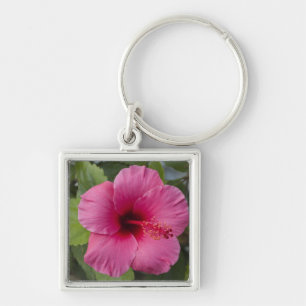 Chaveiro EUA, Havaí, Oahu. O Hibisco é o 2