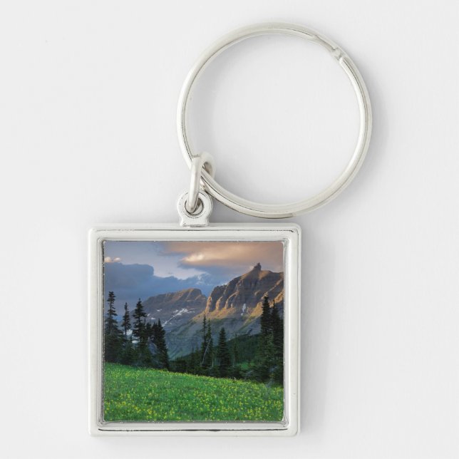 Chaveiro EUA, Montana, Parque Nacional Glacier, Logan Pass (Frente)