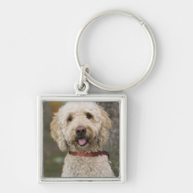 Chaveiro EUA, Nova Inglaterra, Massachusetts, Reading, (Frente)