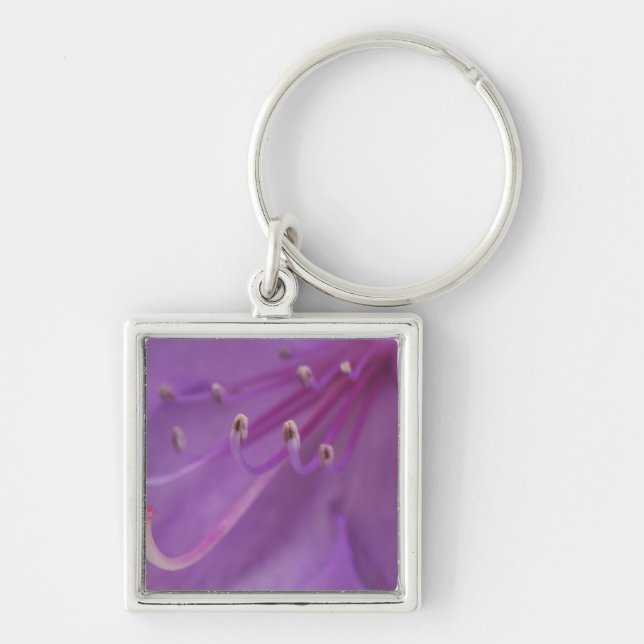 Chaveiro EUA, Oregon, Portland. Encerramento de um (Frente)