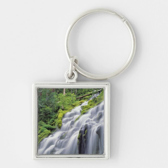 Chaveiro EUA, Oregon, Proxy Falls. Proxy Falls corre (Frente)