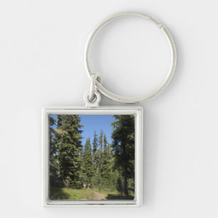 Chaveiro EUA, Oregon, Willamette National Forest, Outono
