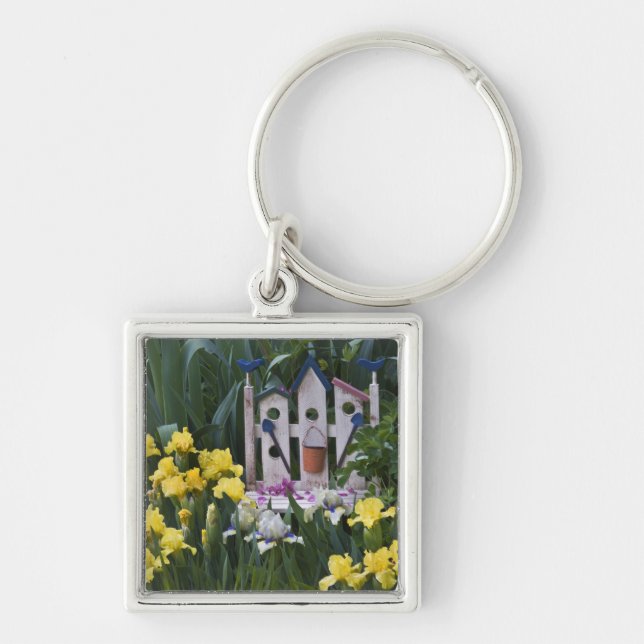 Chaveiro EUA, Pensilvânia. Os íris de jardim crescem (Frente)