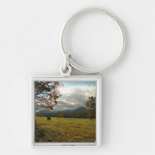 Chaveiro EUA, Tennessee. Cavalos no Vale de Cades Cove
