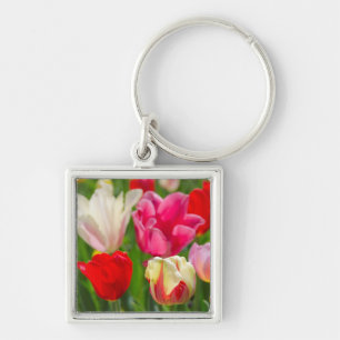 Chaveiro EUA, Tennessee, Nashville