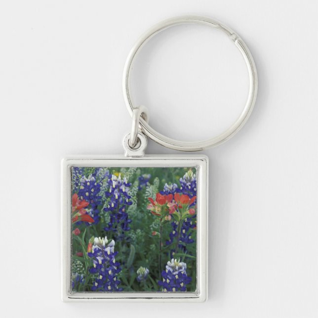 Chaveiro EUA, Texas Hill Country. Bluebonnets e (Frente)