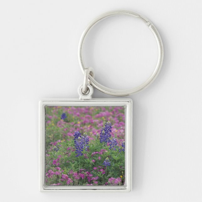 Chaveiro EUA, Texas Hill Country. Bluebonnets entre phlox (Frente)