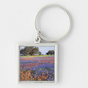 Chaveiro EUA, Texas, Llano. Bluebonnets e redbonnets
