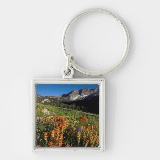 Chaveiro EUA, Utah, Floresta Nacional Uinta-Wasatch-Cache (Frente)