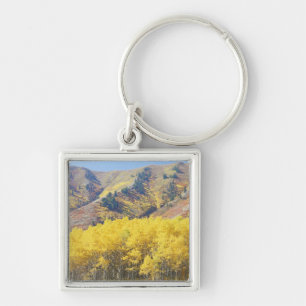 Chaveiro EUA, Utah, Floresta Nacional Wasatch-Cache,