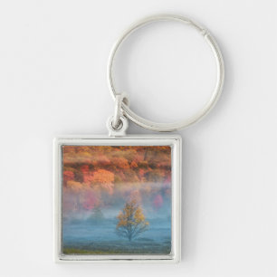 Chaveiro EUA, Virginia Ocidental, Davis. Misty Valley e