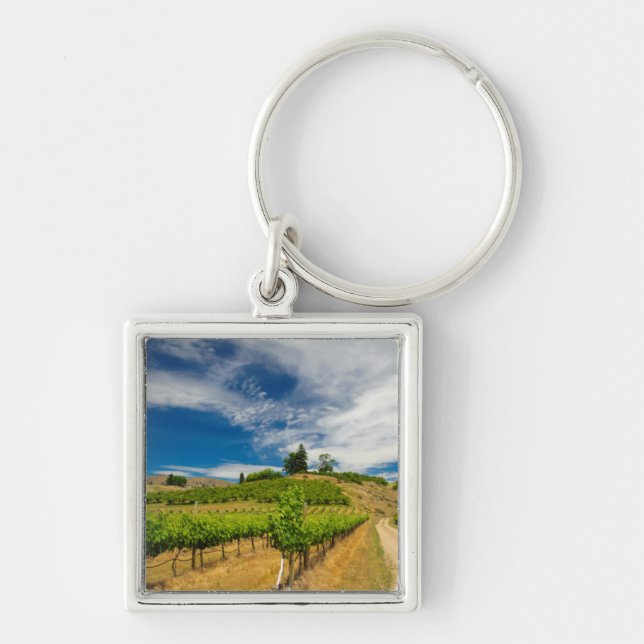 Chaveiro EUA, Washington, Lago Chelan. Vinhedo 3 (Frente)