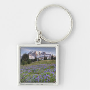 Chaveiro EUA, Washington, Mt. Rainier NP, Mt. Rainier e