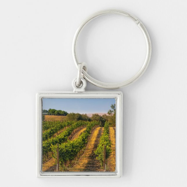 Chaveiro EUA, Washington Oriental, Vinhas Walla Walla (Frente)