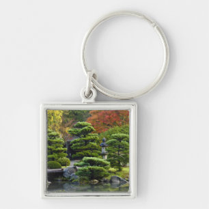 Chaveiro EUA, Washington, Seattle, Arboreto, Japonês