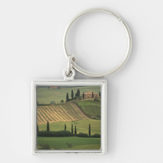 Chaveiro Europa, Itália, Toscana, Val d'Orcia, Toscano (Frente)