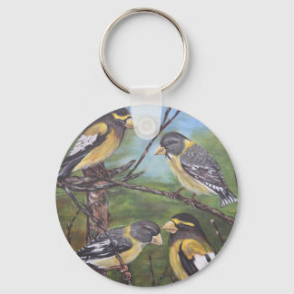 Chaveiro Evening Grosbeaks