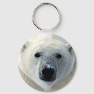 Chaveiro Face do Urso Polar