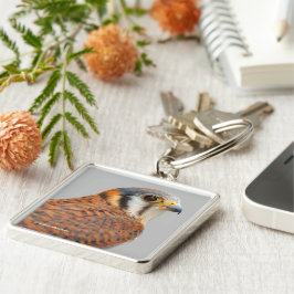 Chaveiro Falcão Americano Kestrel Sparrowhawwawk espantoso