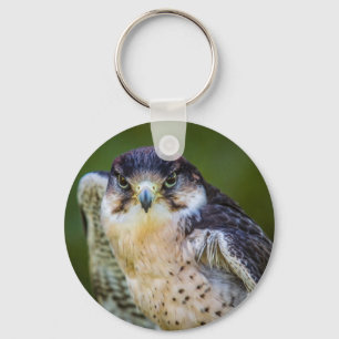 Chaveiro Falcão de peregrino